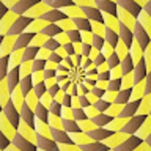 Meet your Posher, The hoops